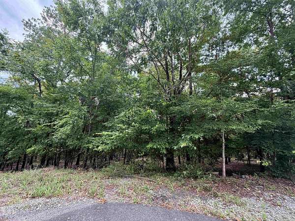 0.83 Acres of Residential Land for Sale in Hot Springs Village, Arkansas