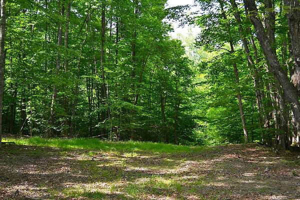81.2 Acres of Recreational & Residential Land for Sale in Rainelle, West Virginia