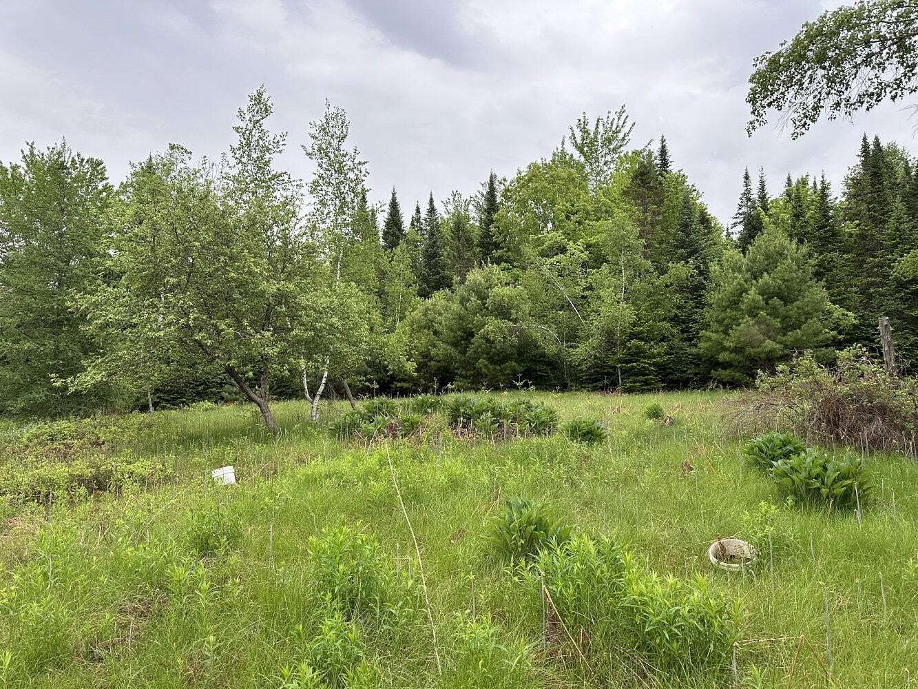 25 Acres of Recreational & Residential Land for Sale in Canaan, Maine