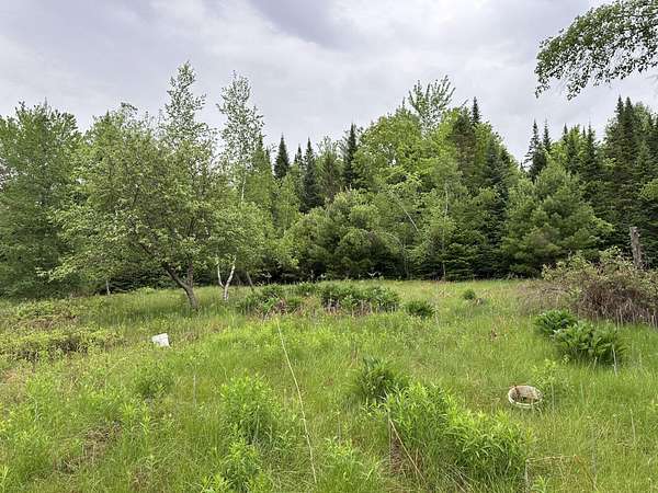 25 Acres of Recreational & Residential Land for Sale in Canaan, Maine