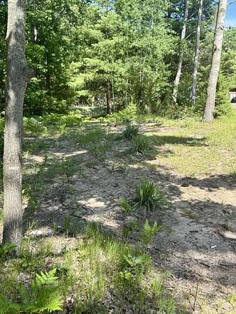 0.81 Acres of Land for Sale in Lake, Michigan