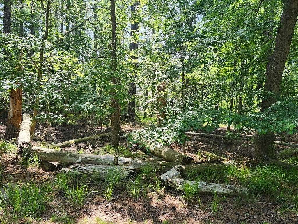 0.22 Acres of Residential Land for Sale in Greenbackville, Virginia