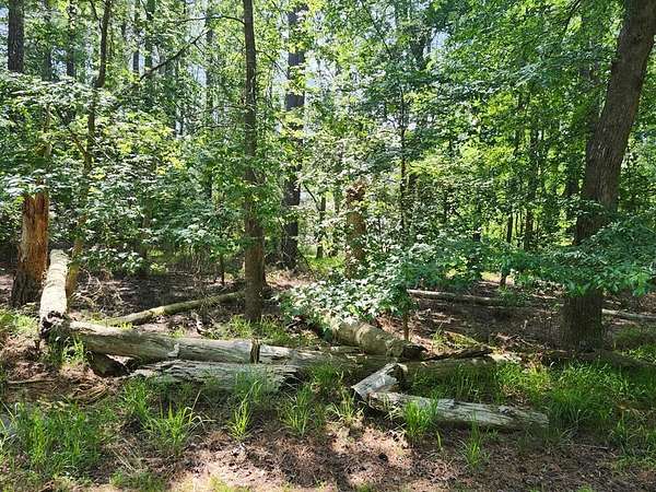 0.22 Acres of Residential Land for Sale in Greenbackville, Virginia