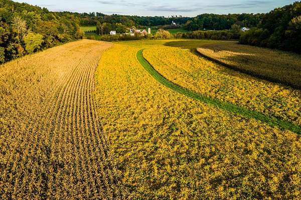 28 Acres of Agricultural Land for Sale in Loganville, Wisconsin