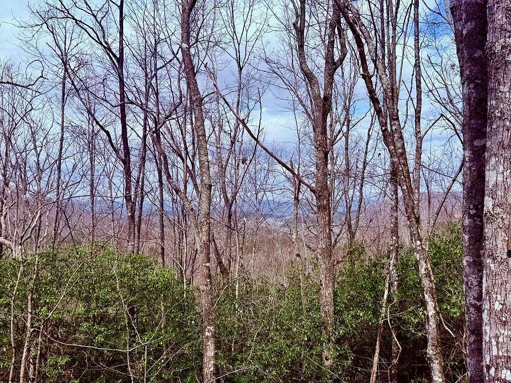 3 Acres of Land for Sale in Brasstown, North Carolina