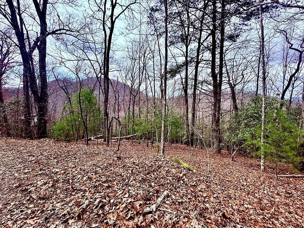3 Acres of Land for Sale in Brasstown, North Carolina