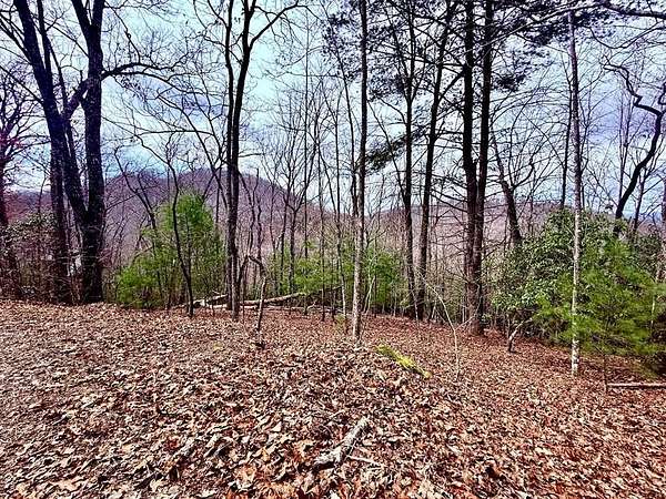 3 Acres of Land for Sale in Brasstown, North Carolina