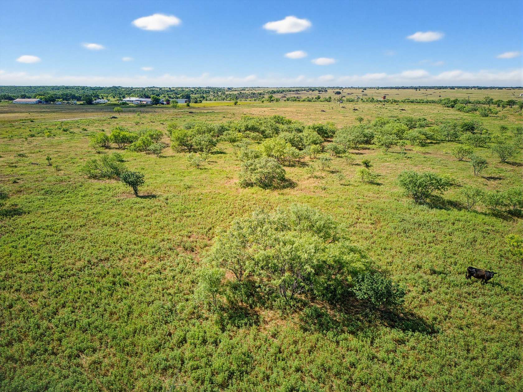 20.9 Acres of Land for Sale in Chico, Texas