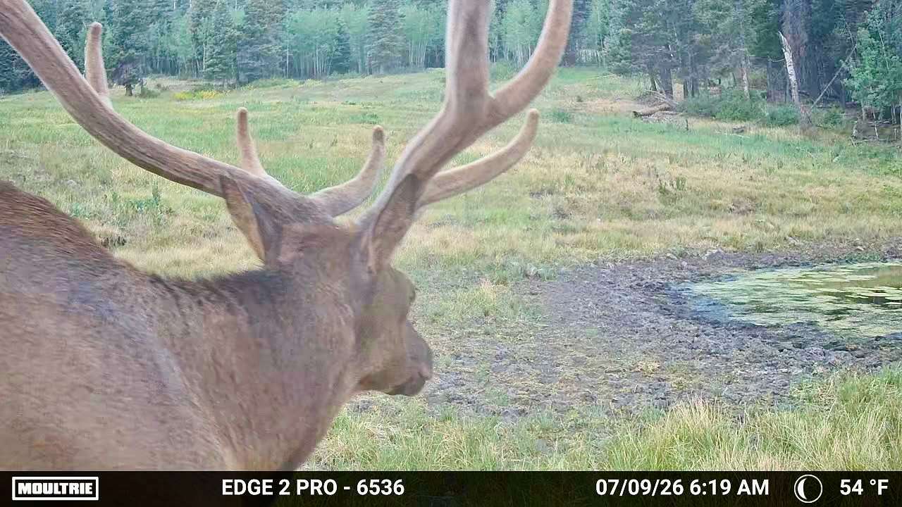 2,410 Acres of Recreational Land for Sale in Chama, New Mexico
