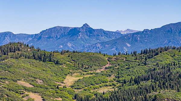 2,410 Acres of Recreational Land for Sale in Chama, New Mexico