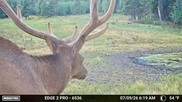 2,410 Acres of Recreational Land for Sale in Chama, New Mexico