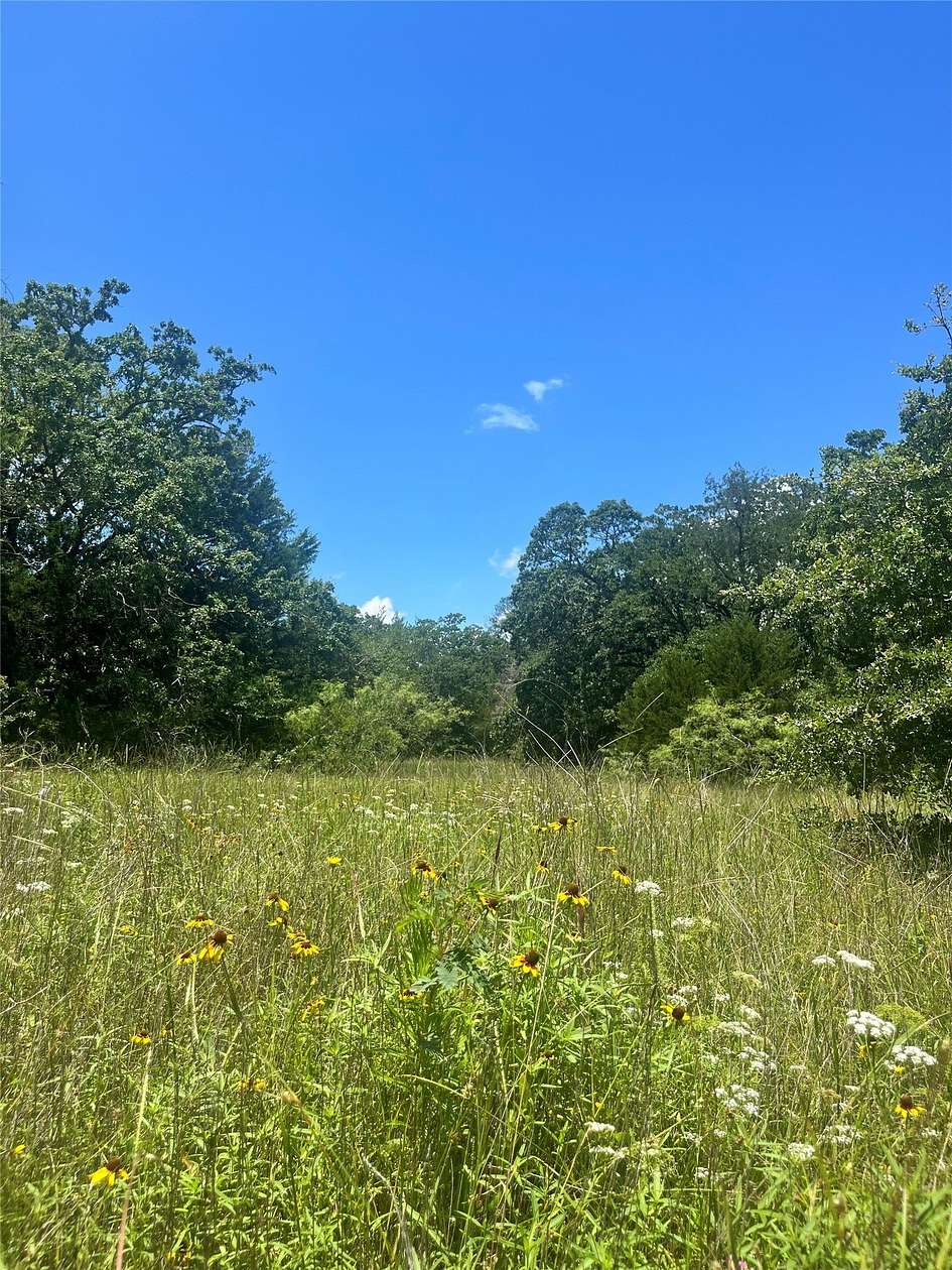 52.6 Acres of Recreational Land for Sale in Groesbeck, Texas