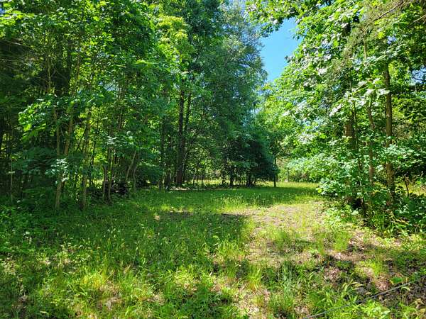 4.6 Acres of Land for Sale in South Haven, Michigan