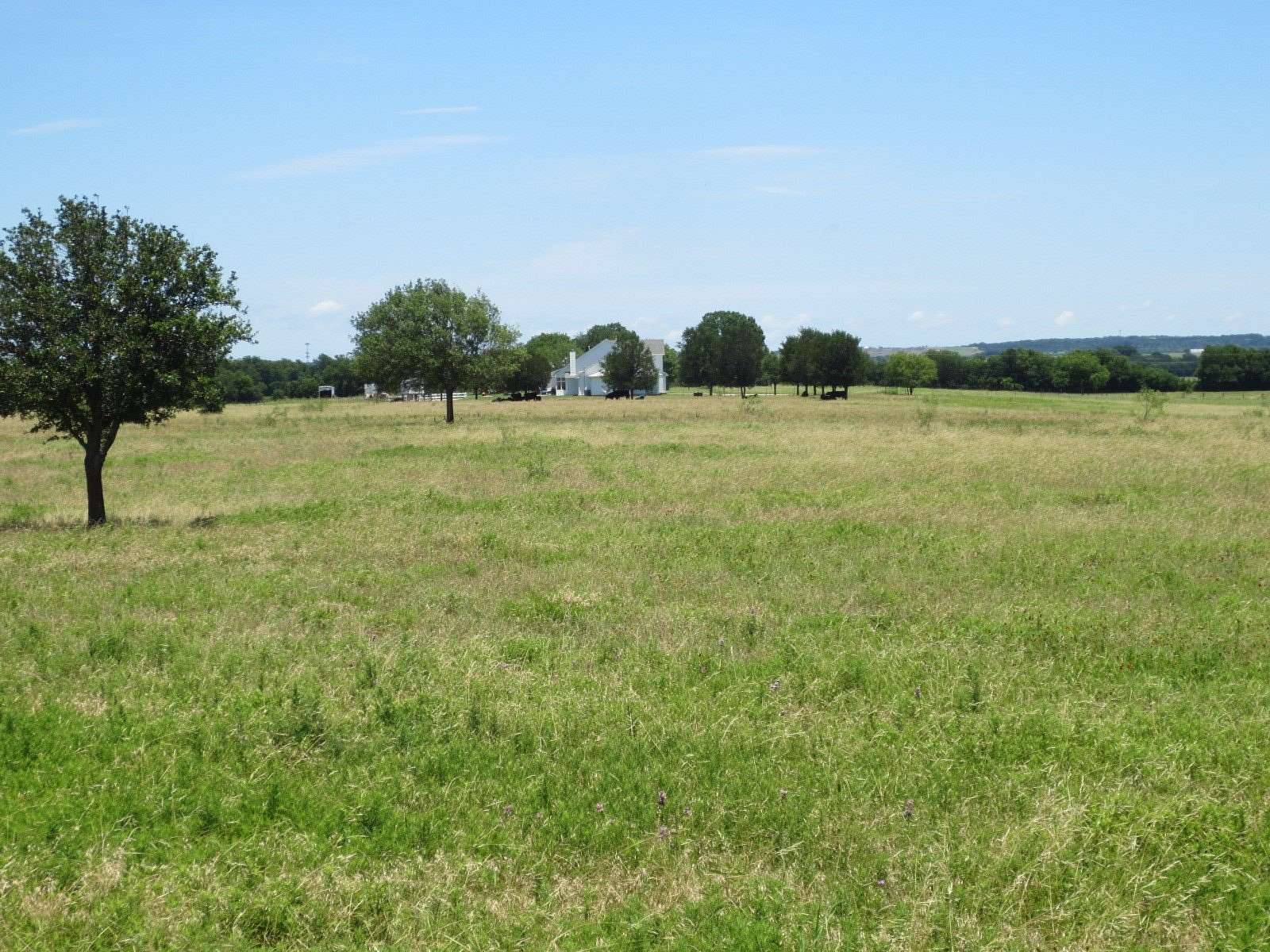 15.5 Acres of Land for Sale in McGregor, Texas