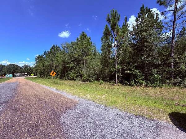4.46 Acres of Residential Land for Sale in Perkinston, Mississippi
