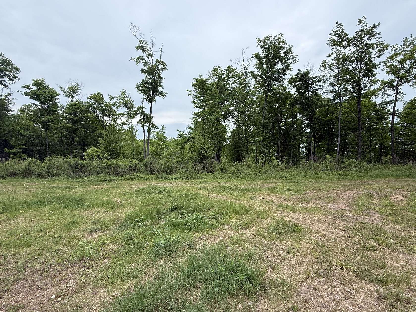 31.4 Acres of Land for Sale in Raber, Michigan
