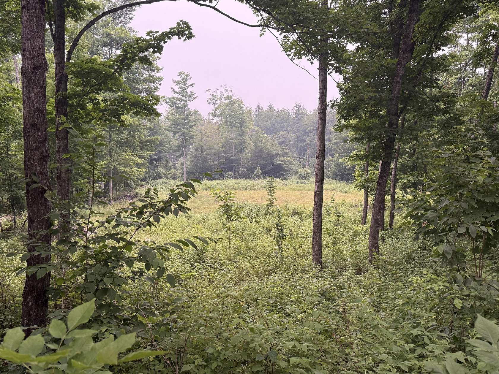 31.4 Acres of Land for Sale in Raber, Michigan