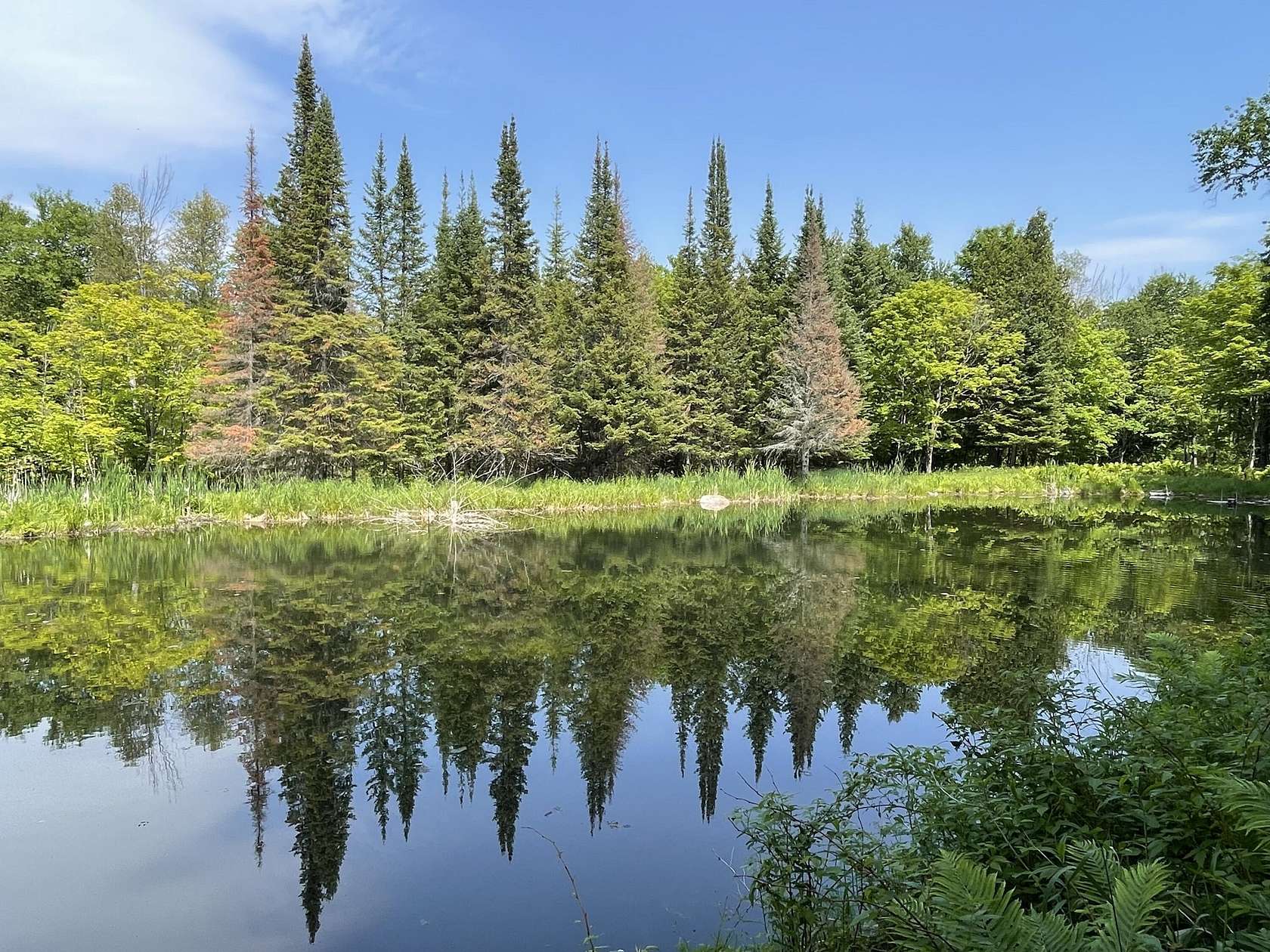 32.4 Acres of Land for Sale in Raber, Michigan