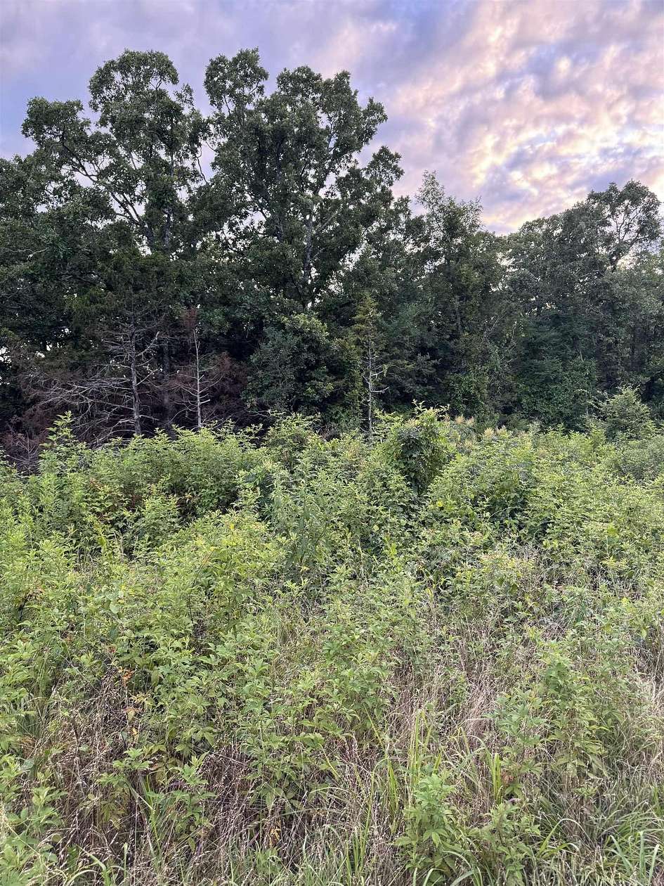 21.2 Acres of Recreational & Residential Land for Sale in Vilonia, Arkansas