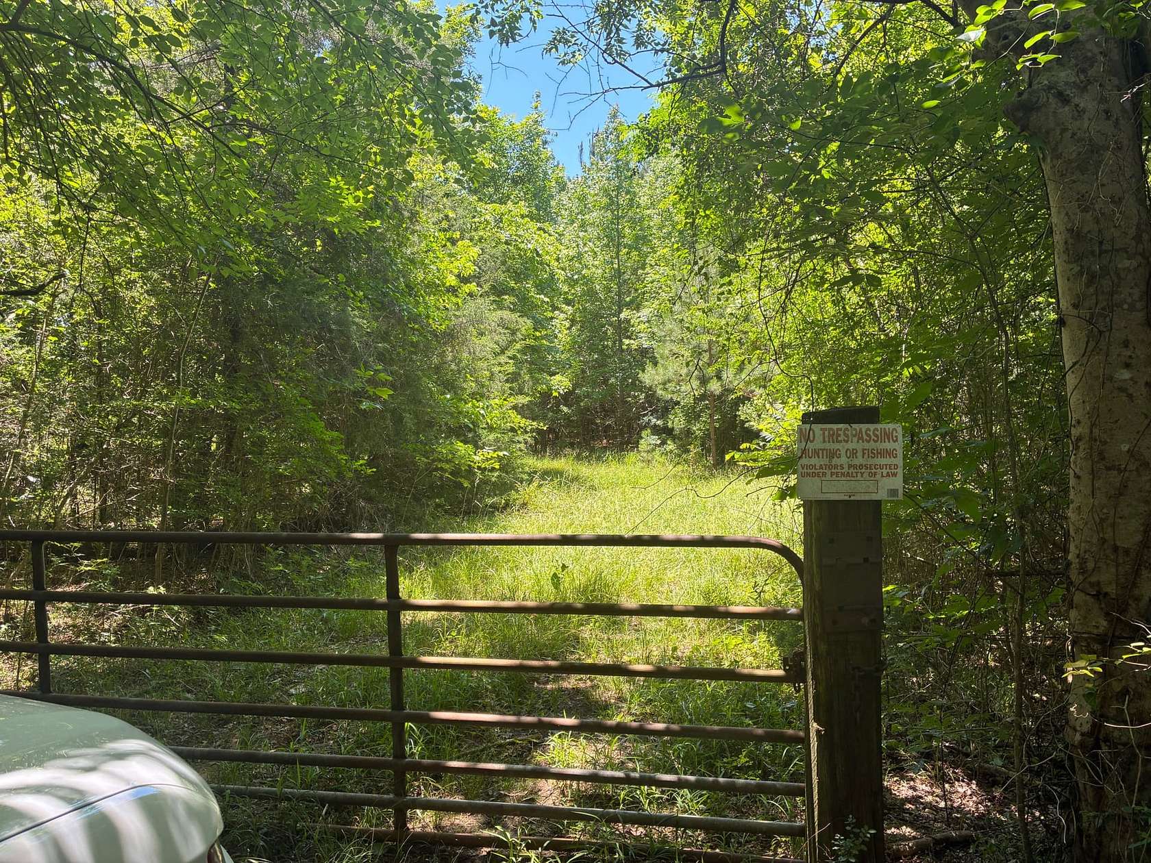 61 Acres of Land for Sale in Clinton, Alabama