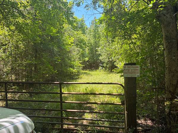 61 Acres of Land for Sale in Clinton, Alabama