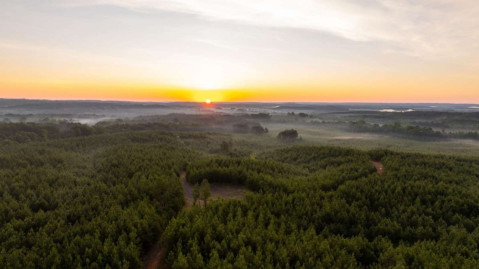 278 Acres of Recreational Land for Sale in Brookwood, Alabama