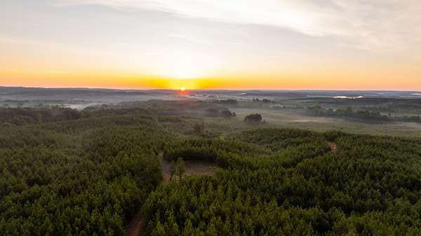 278 Acres of Recreational Land for Sale in Brookwood, Alabama