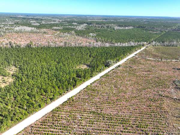 35 Acres of Recreational Land for Sale in White Oak, Georgia