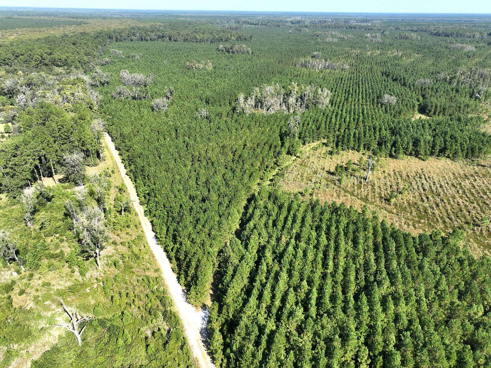 126 Acres of Recreational Land for Sale in White Oak, Georgia