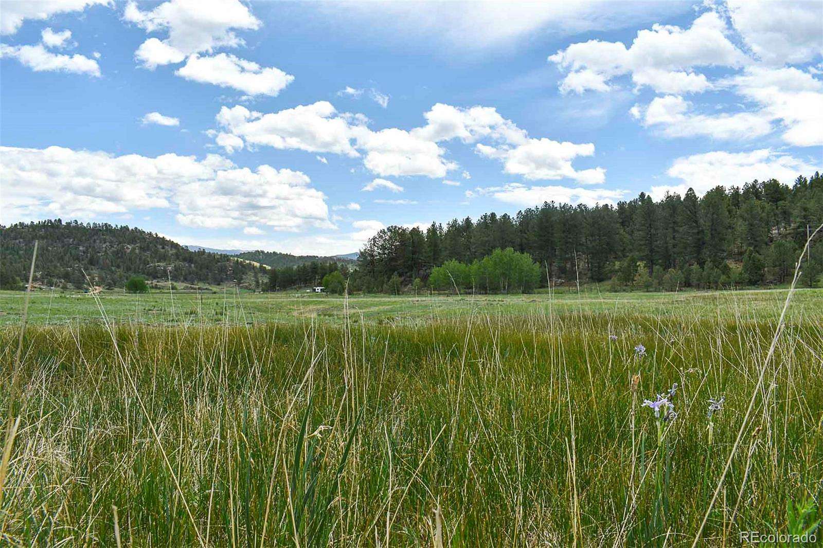 5 Acres of Land for Sale in Guffey, Colorado