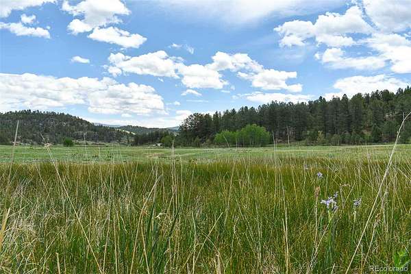 5 Acres of Land for Sale in Guffey, Colorado