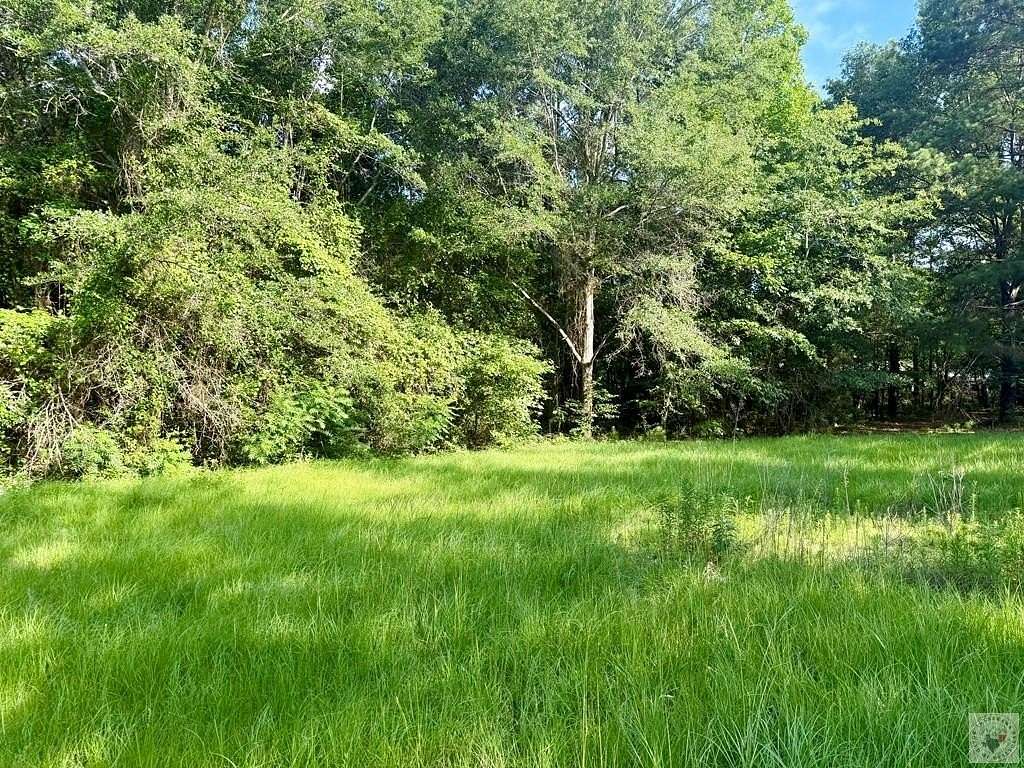 9.6 Acres of Land with Home for Sale in Maud, Texas