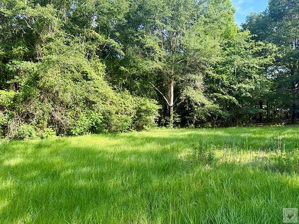 9.6 Acres of Land with Home for Sale in Maud, Texas