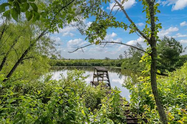 43.1 Acres of Recreational & Residential Land for Sale in Deport, Texas