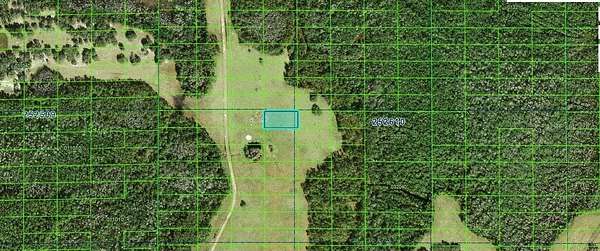 1.25 Acres of Land for Sale in Polk City, Florida