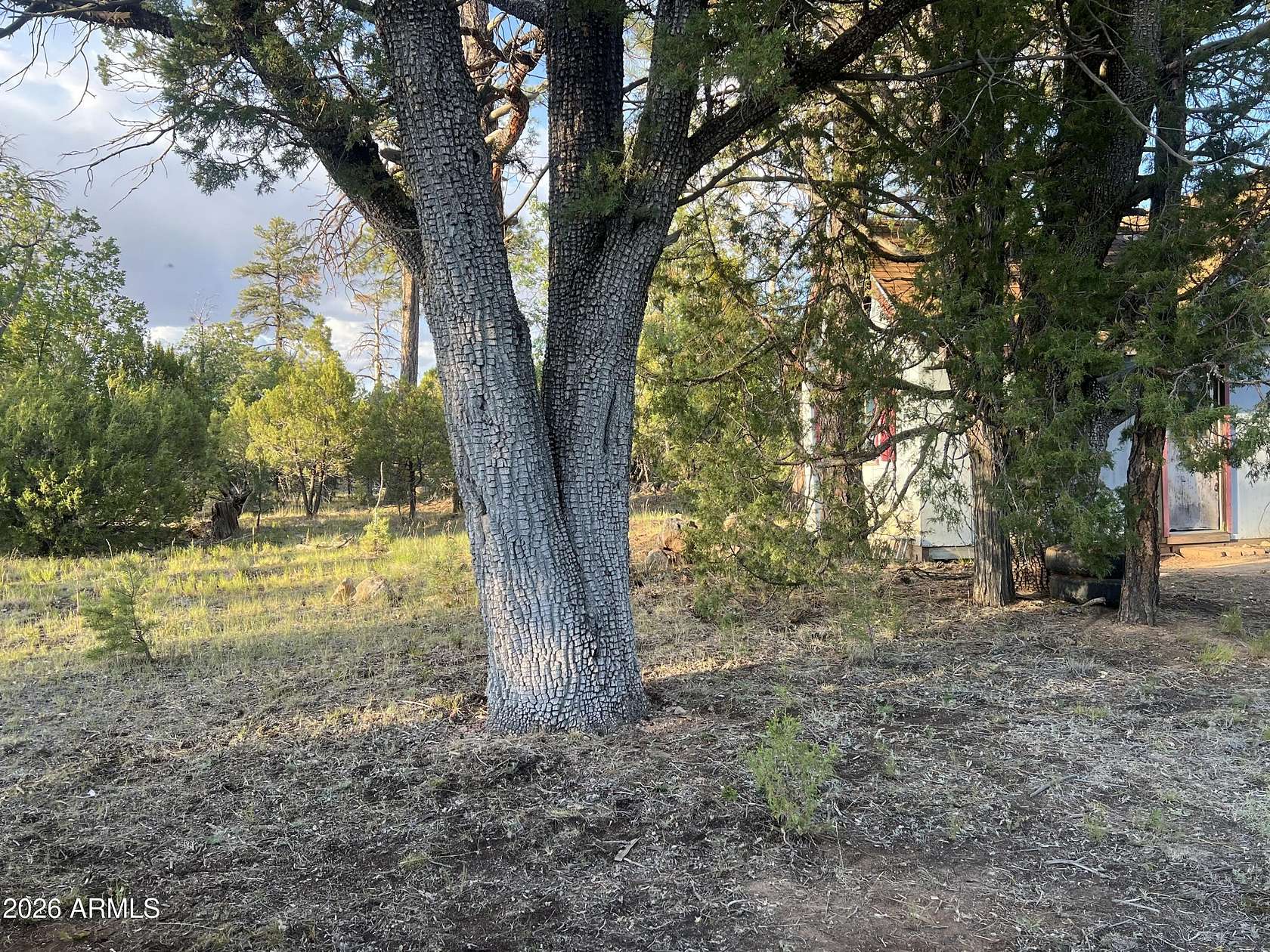 1.14 Acres of Land with Home for Sale in Happy Jack, Arizona