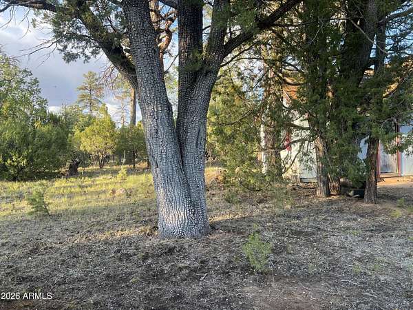 1.14 Acres of Land with Home for Sale in Happy Jack, Arizona