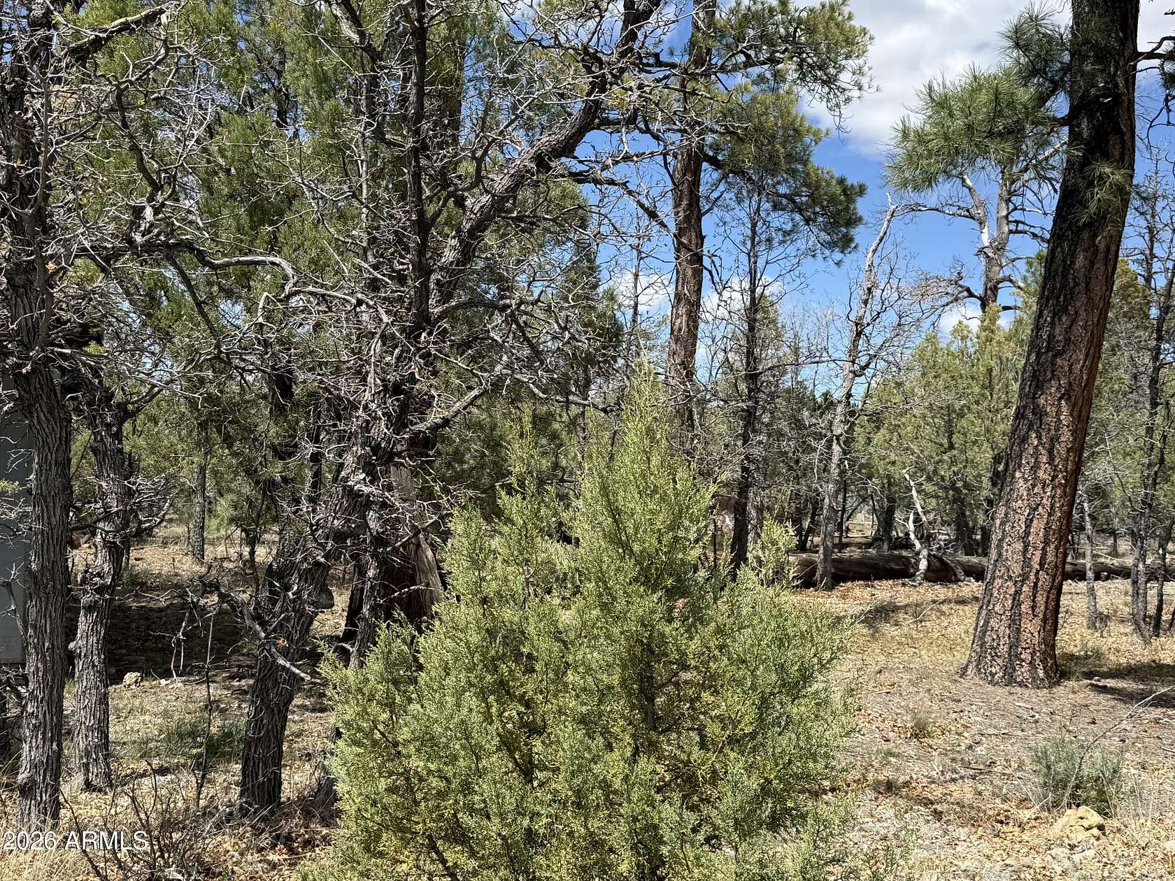 1.14 Acres of Residential Land for Sale in Happy Jack, Arizona