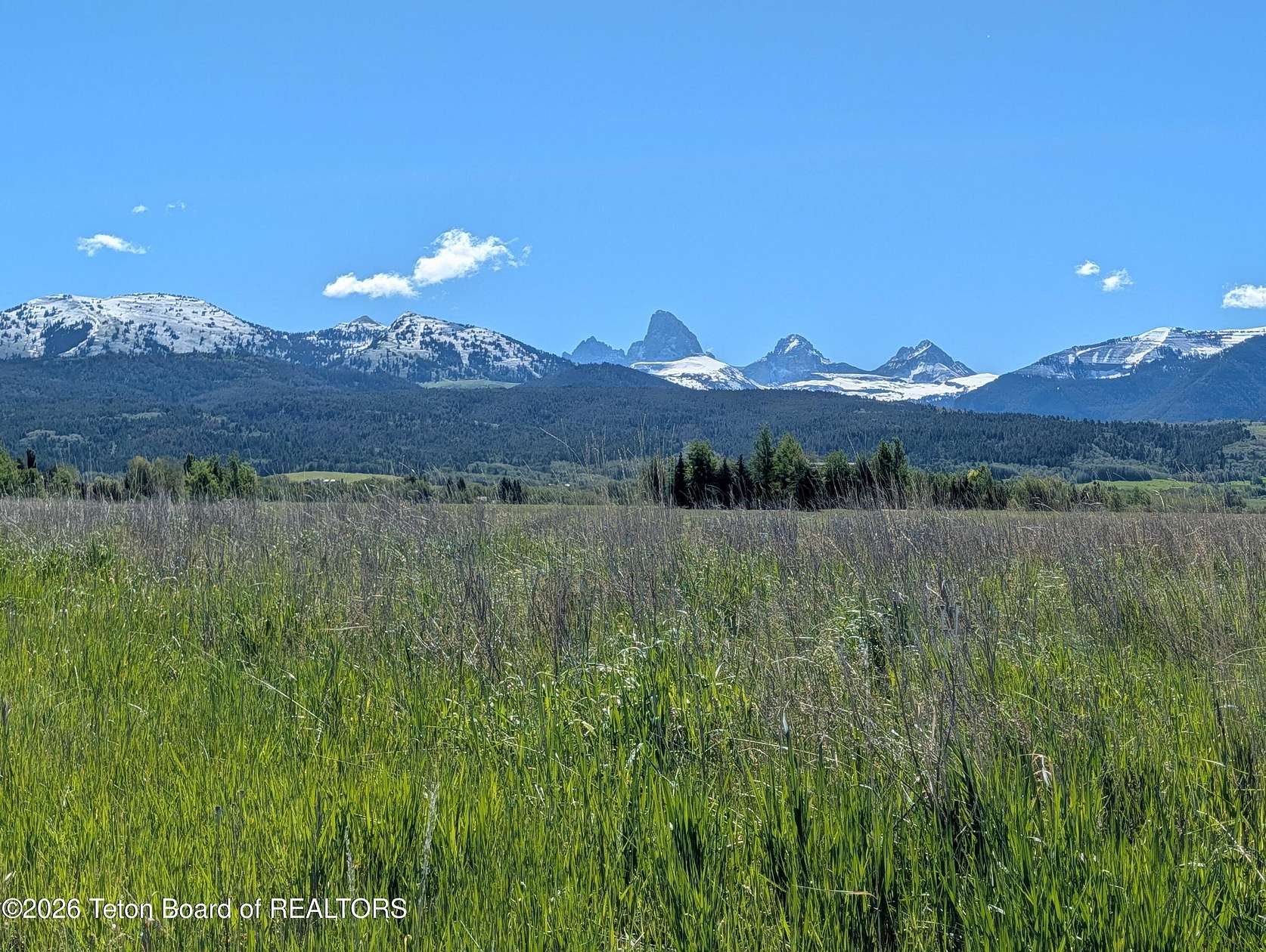 1 Acre of Residential Land for Sale in Driggs, Idaho
