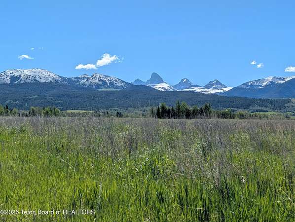 1 Acre of Residential Land for Sale in Driggs, Idaho