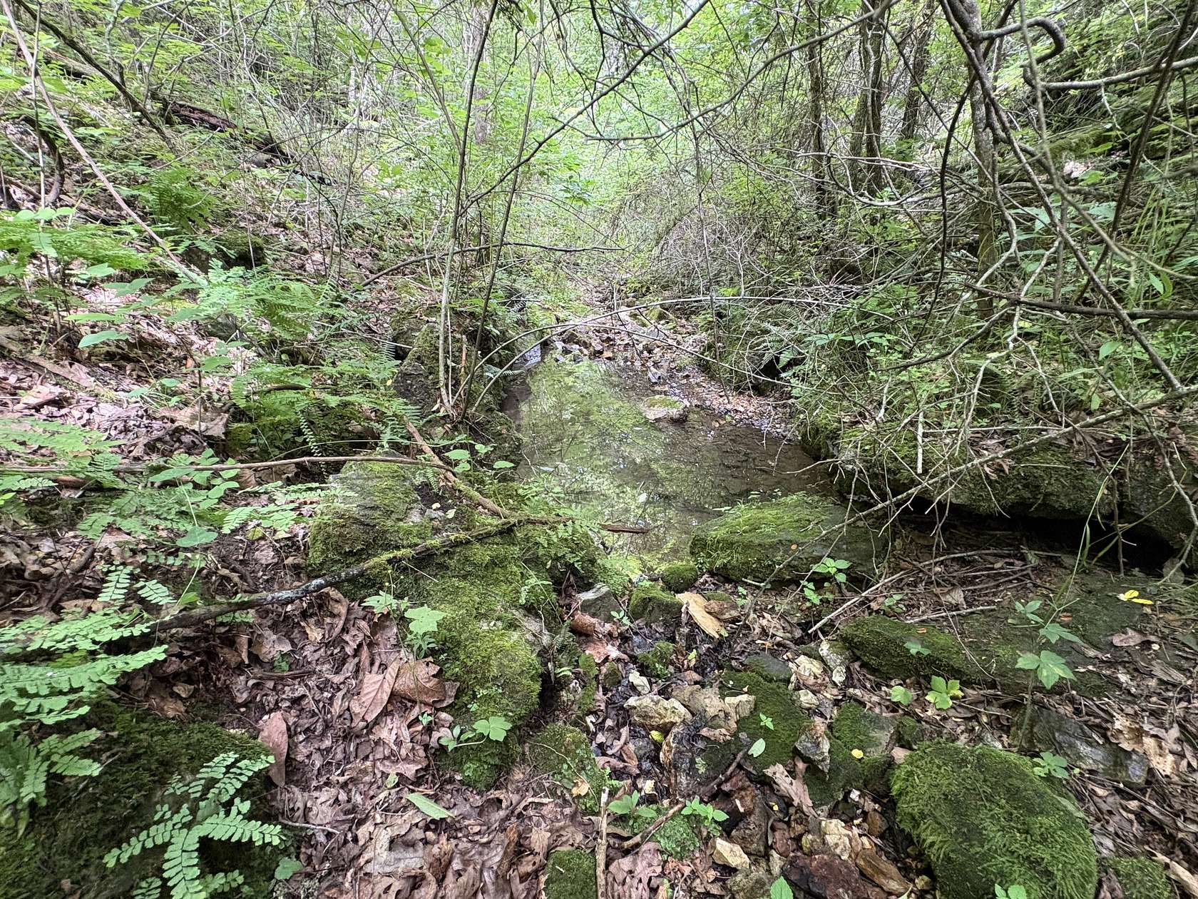 81 Acres of Land for Sale in Hartshorn, Missouri