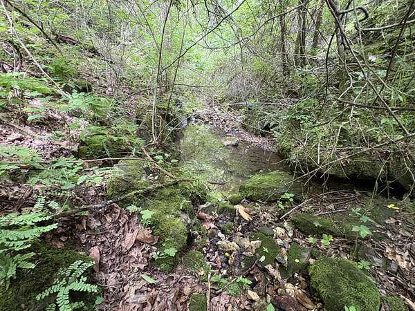81 Acres of Land for Sale in Hartshorn, Missouri