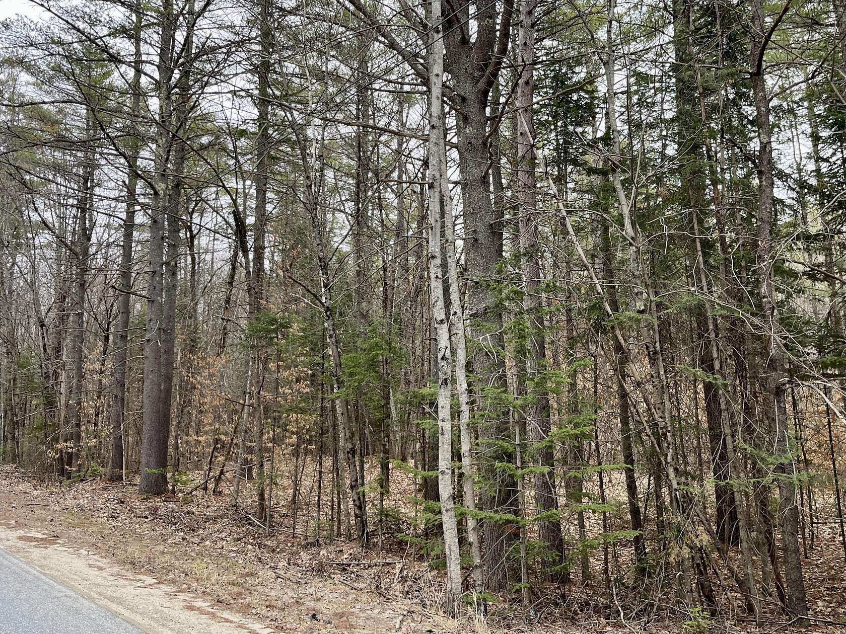 2.3 Acres of Land for Sale in Leeds, Maine