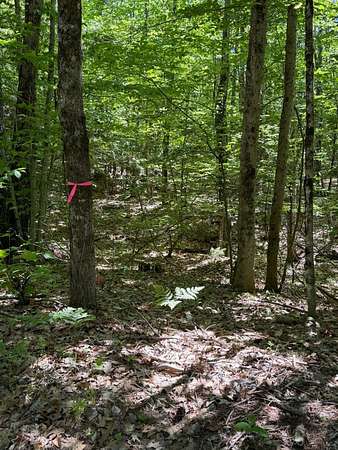 3.4 Acres of Land for Sale in Leeds, Maine