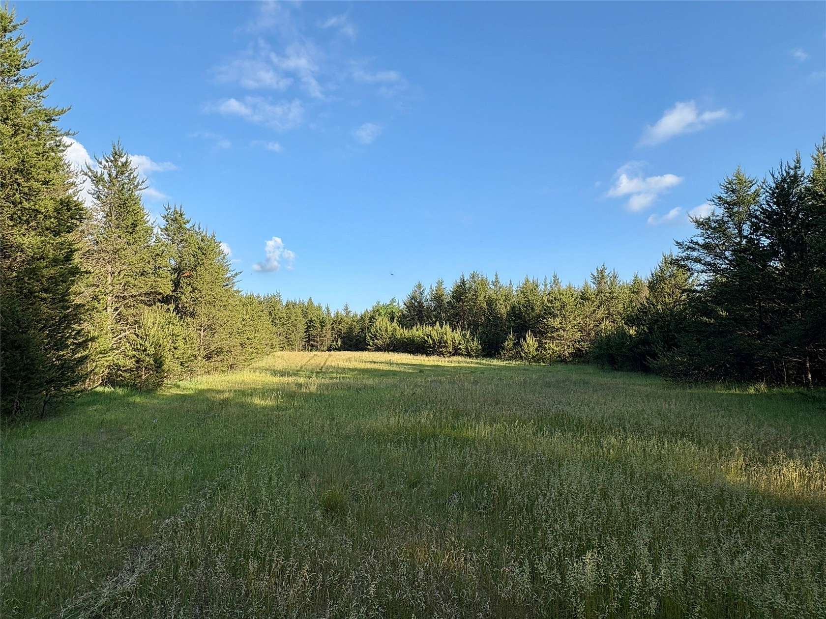 38.2 Acres of Recreational & Residential Land for Sale in Augusta, Wisconsin