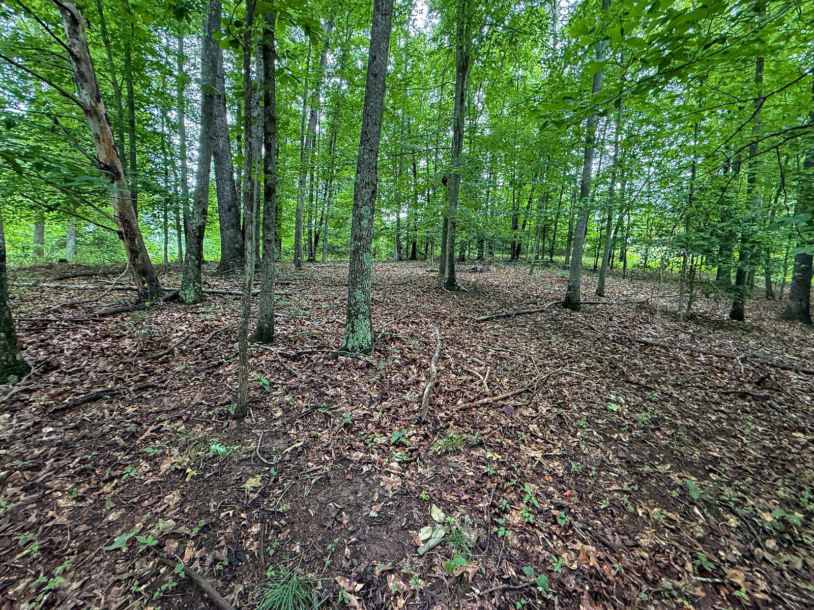 2.58 Acres of Residential Land for Sale in Sutton, West Virginia