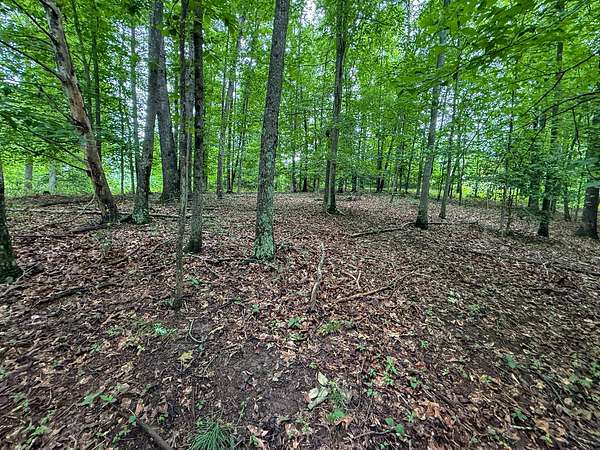 2.58 Acres of Residential Land for Sale in Sutton, West Virginia