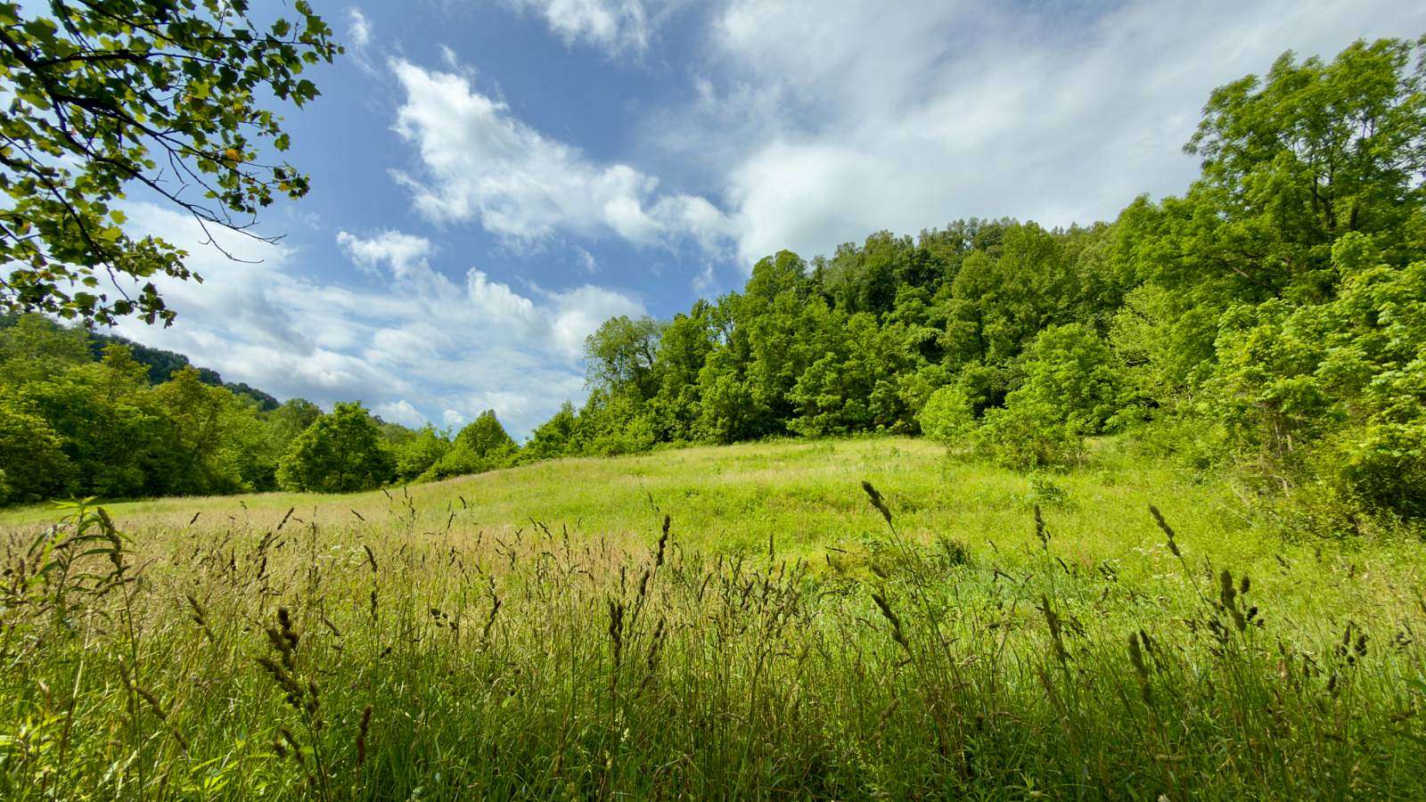 15.3 Acres of Recreational & Residential Land for Sale in Cheshire Township, Ohio