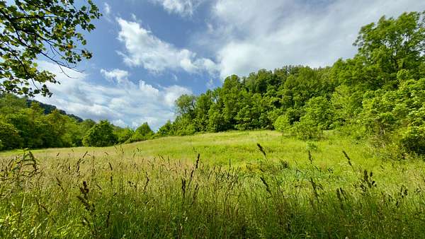 15.3 Acres of Recreational & Residential Land for Sale in Cheshire Township, Ohio