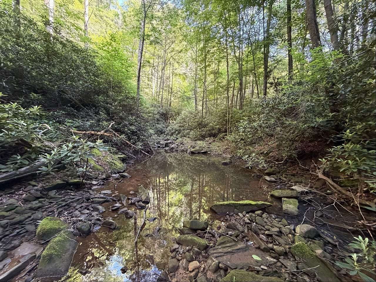 49 Acres of Agricultural Land for Sale in Pound, Virginia